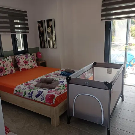 Miranda Roshi * טורוני