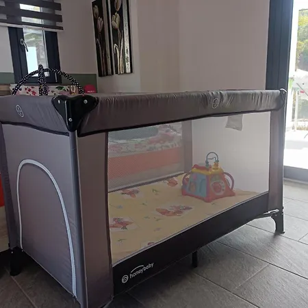 Miranda Roshi טורוני