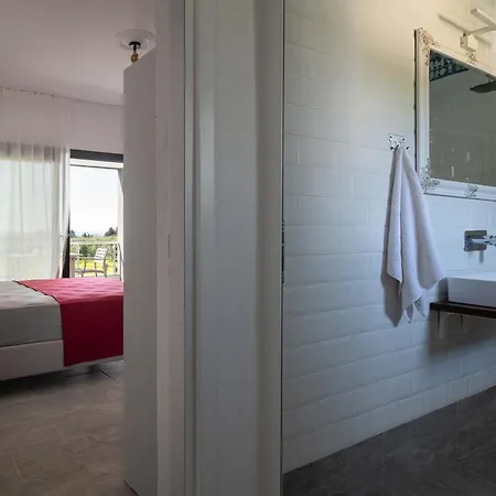 Miranda Roshi טורוני