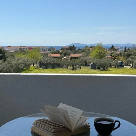 Miranda Roshi טורוני