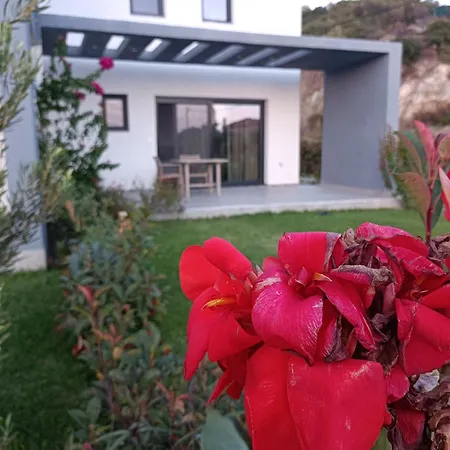 Miranda Roshi Apartment Toroni