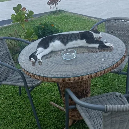 Miranda Roshi アパート トロニ