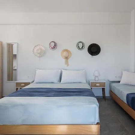 Miranda Roshi Toroni