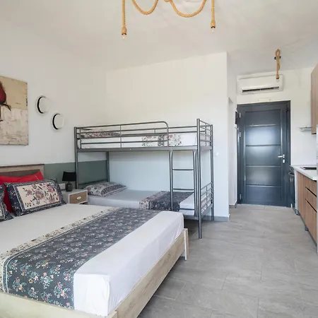 Miranda Roshi * トロニ