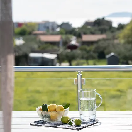 Miranda Roshi * Toroni