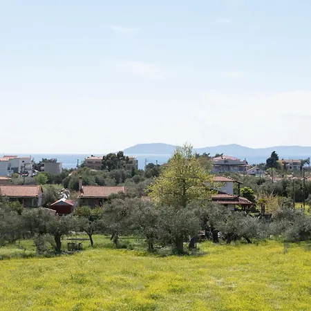 Apartment Miranda Roshi