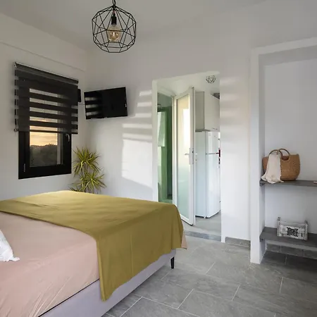 Miranda Roshi * Toroni