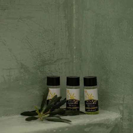 Apartment Miranda Roshi