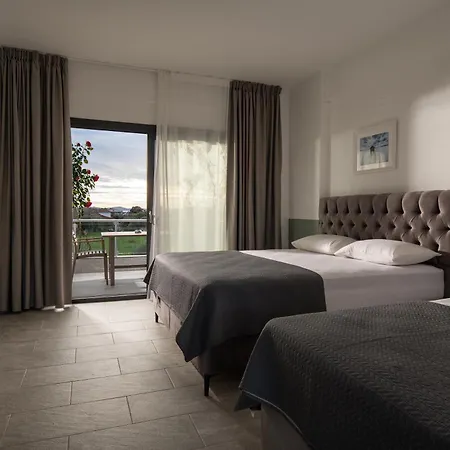 Miranda Roshi Toroni