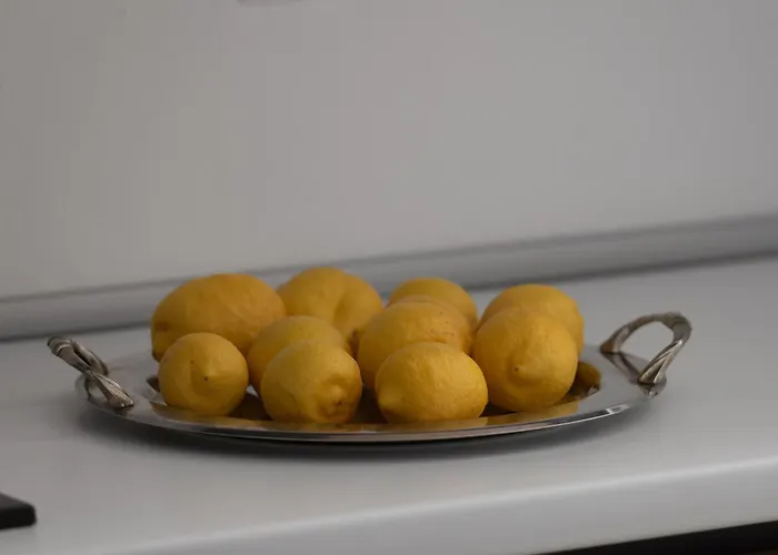 Miranda Roshi Toroni