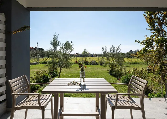 Miranda Roshi Торони