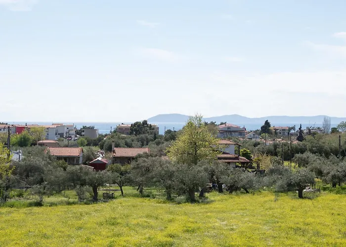 Апартаменты Miranda Roshi