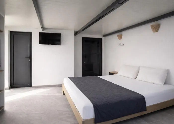 Miranda Roshi * Toroni