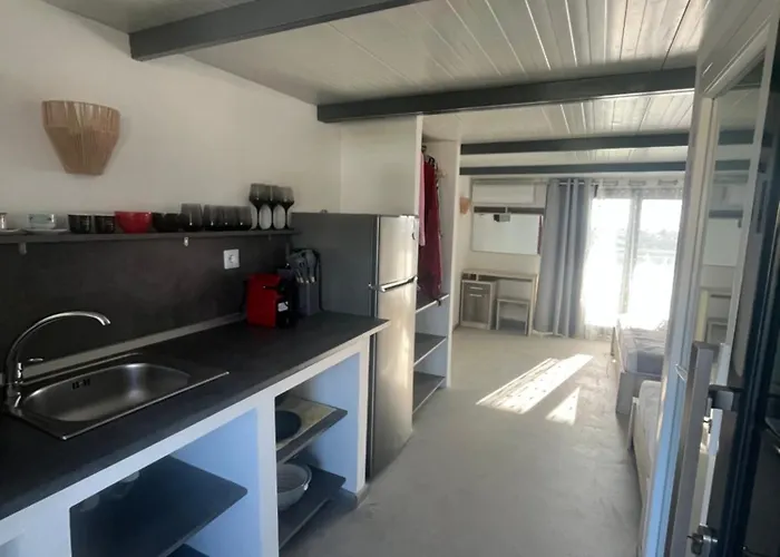 Miranda Roshi * Toroni