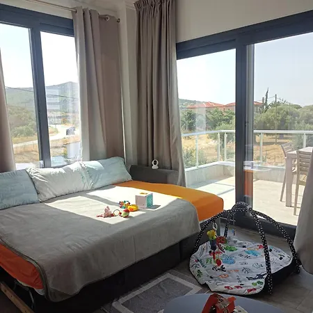 Miranda Roshi * Toroni