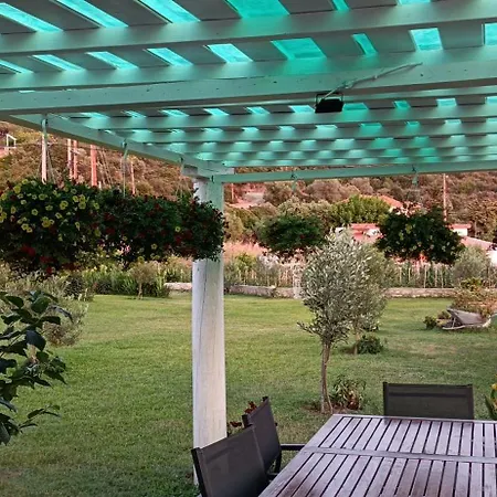 Miranda Roshi Toroni