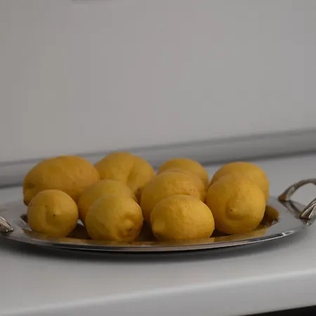 Miranda Roshi توروني