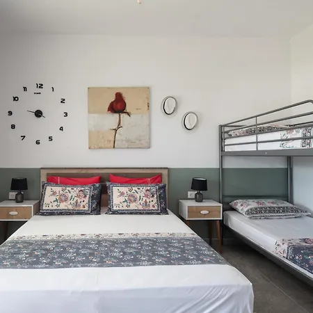 Miranda Roshi توروني