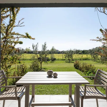 Miranda Roshi * توروني