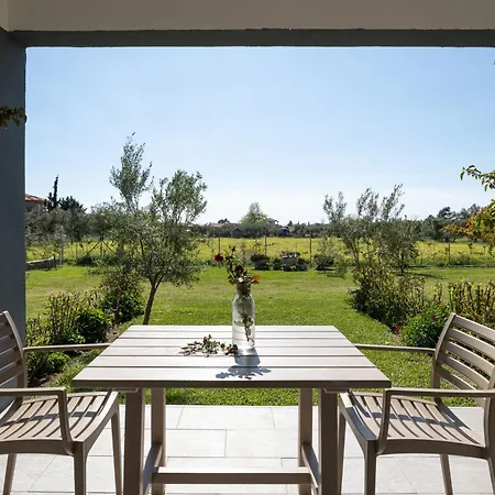 Miranda Roshi توروني