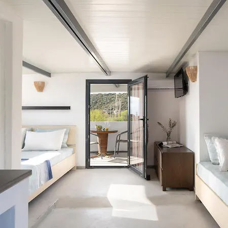 Miranda Roshi * توروني